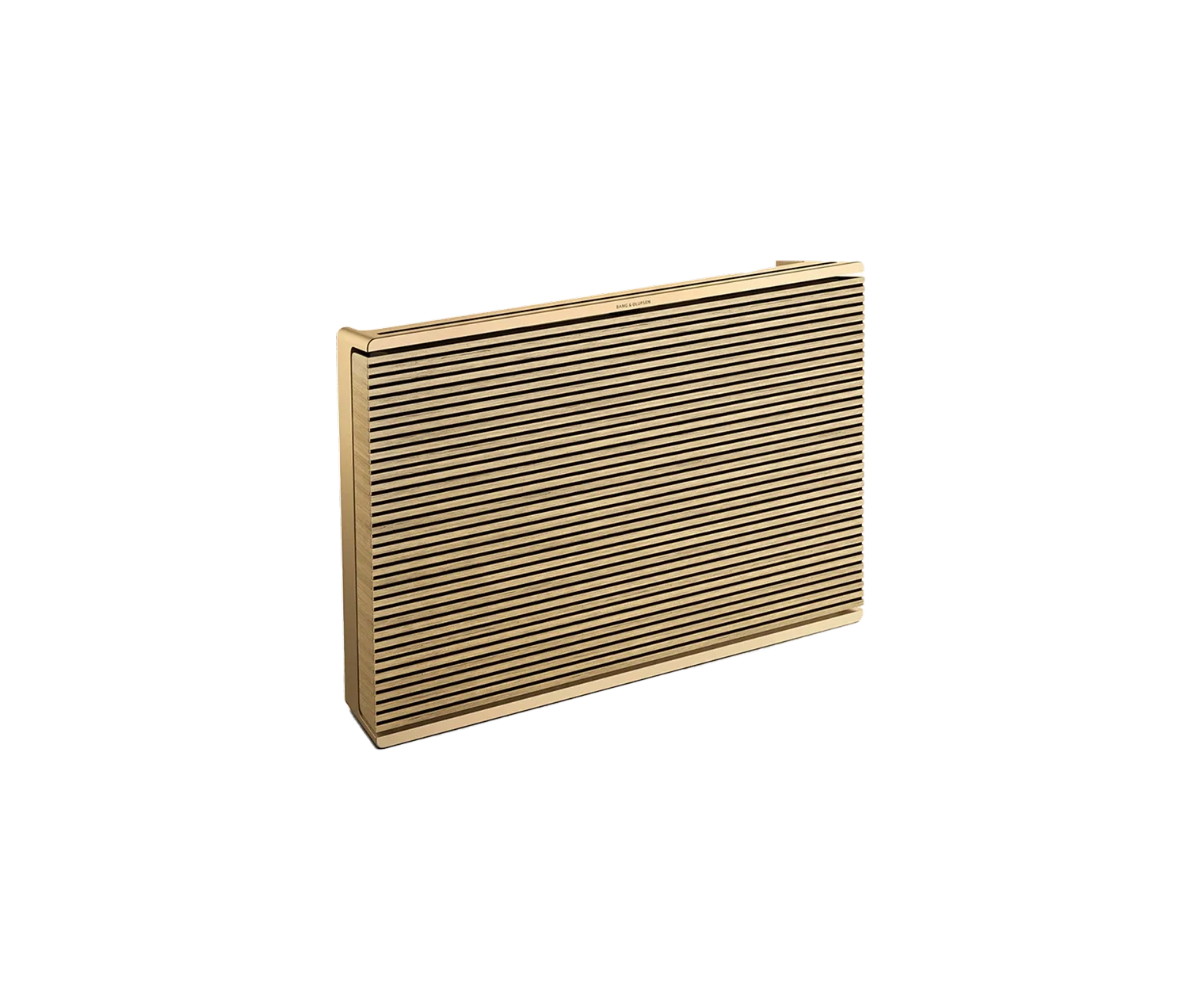 Beosound Level