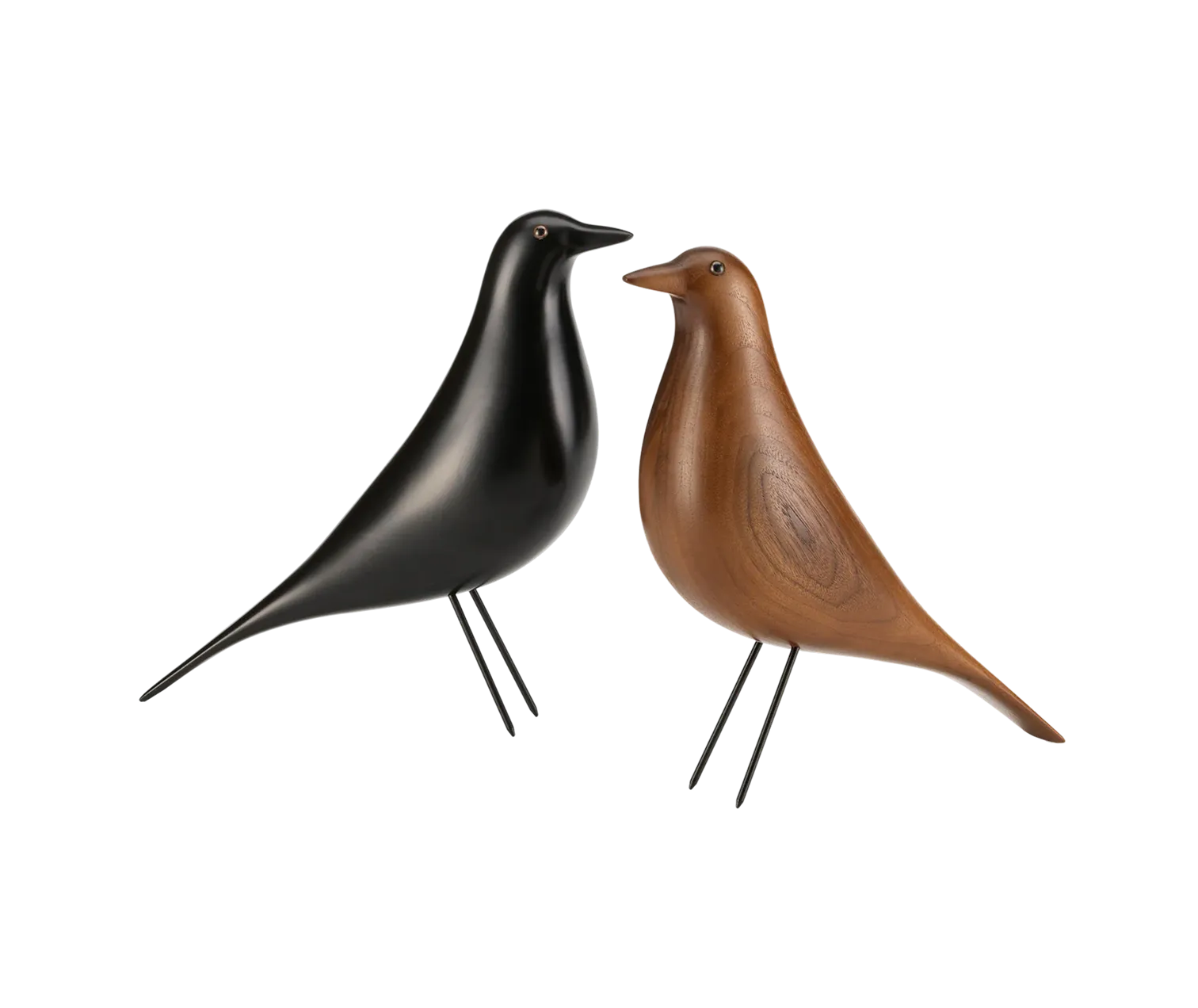 Housebird